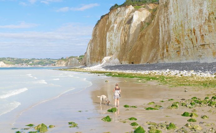 Urlaub mit Hund in der Normandie