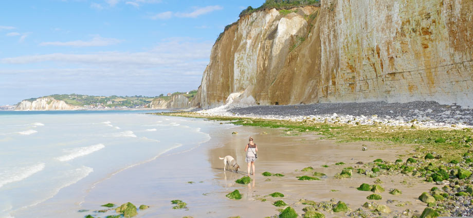 Urlaub mit Hund in der Normandie